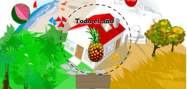 Juegos alimentación educación primaria y secundaria.