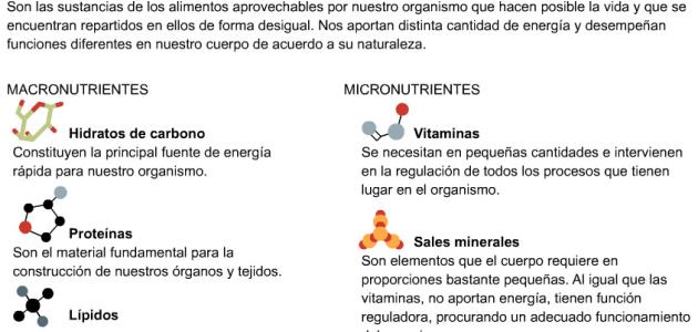 infografías alimentacion educación secundaria