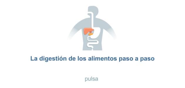 Infografía La digestión de los alimentos
