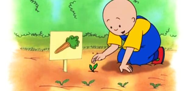 Vídeos alimentación educación infantil y primaria
