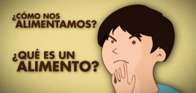 Vídeos alimentación sana primaria y secundaria. 