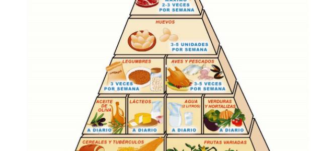 Libro de La alimentación de tus niños y niñas 