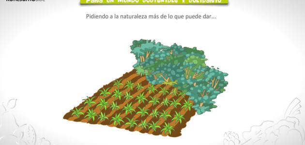 juegos online Frutas y verduras