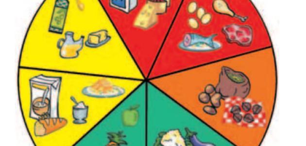 juegos educativos contra obesidad 