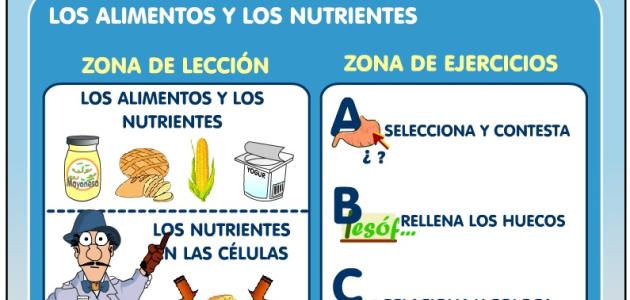 El enigma de la nutrición - pantalla