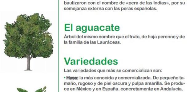El libro sabio de las frutas y las verduras