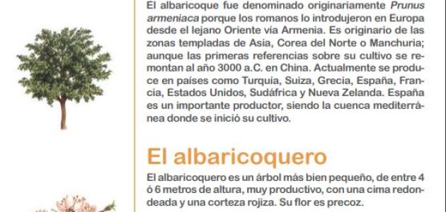 El libro sabio de las frutas y las verduras