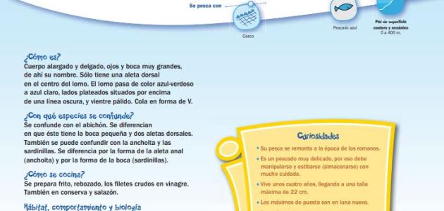 Cómo son los peces