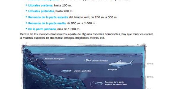 Los libros del caladero