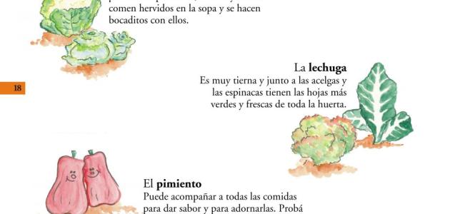 Mariquita en la huerta orgánica
